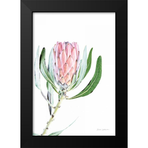 Dreamy Protea II Oasis Black Modern Wood Framed Art Print by Catterall, Elise