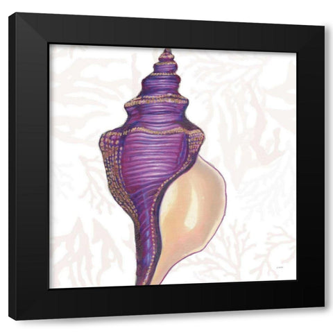 Shimmering Shells IX Black Modern Wood Framed Art Print with Double Matting by Wiens, James