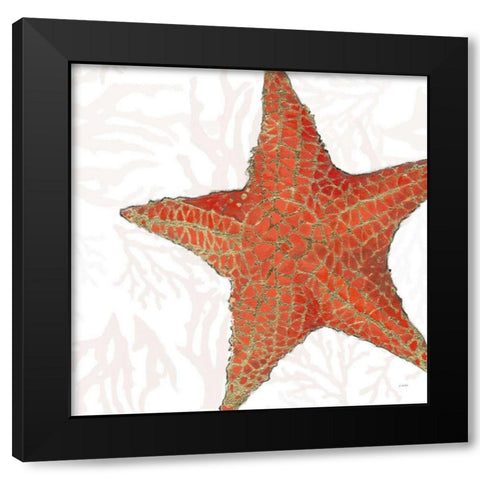 Shimmering Shells XIII Black Modern Wood Framed Art Print with Double Matting by Wiens, James