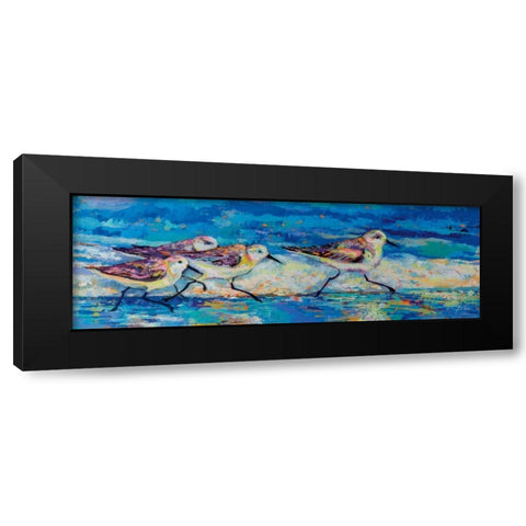 Racing Plovers Black Modern Wood Framed Art Print with Double Matting by Vertentes, Jeanette