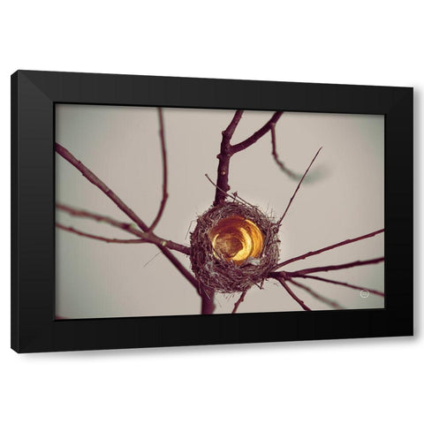 What is Golden Black Modern Wood Framed Art Print with Double Matting by Larson, Nathan