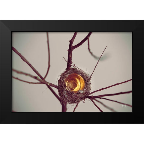 What is Golden Black Modern Wood Framed Art Print by Larson, Nathan