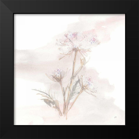Queen Annes Lace IV Black Modern Wood Framed Art Print by Paschke, Chris
