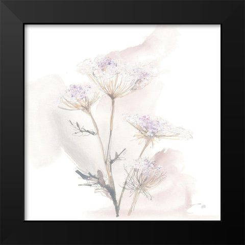 Queen Annes Lace VI Black Modern Wood Framed Art Print by Paschke, Chris