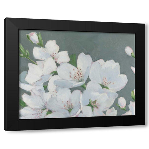 Spring Apple Blossoms Black Modern Wood Framed Art Print with Double Matting by Wiens, James