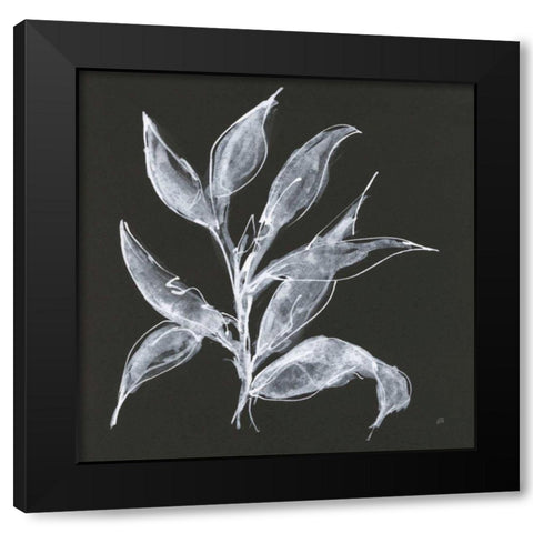 Branch III Black Modern Wood Framed Art Print by Paschke, Chris