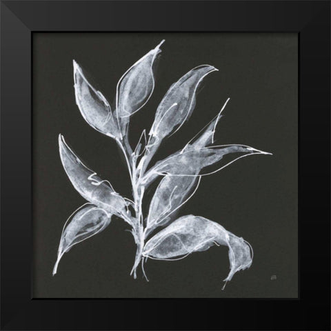 Branch III Black Modern Wood Framed Art Print by Paschke, Chris