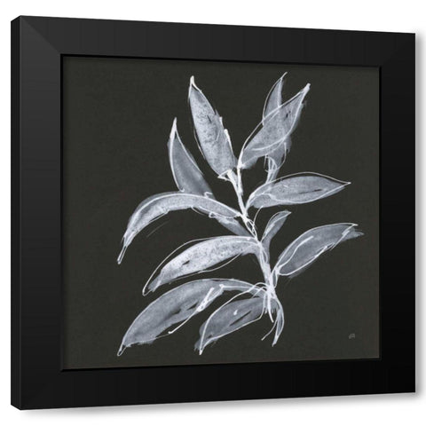 Branch IV Black Modern Wood Framed Art Print by Paschke, Chris