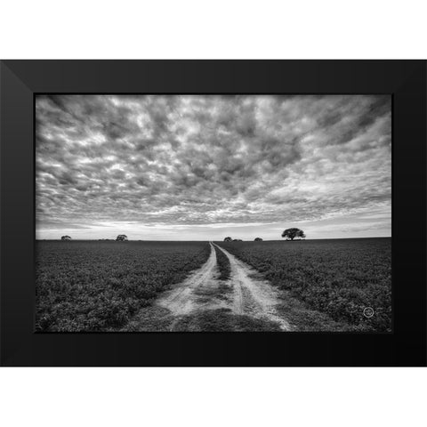 Farm Road Black Modern Wood Framed Art Print by Larson, Nathan