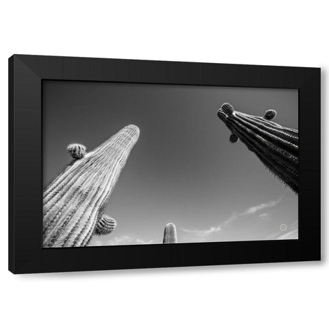 Three Kings Black Modern Wood Framed Art Print with Double Matting by Larson, Nathan