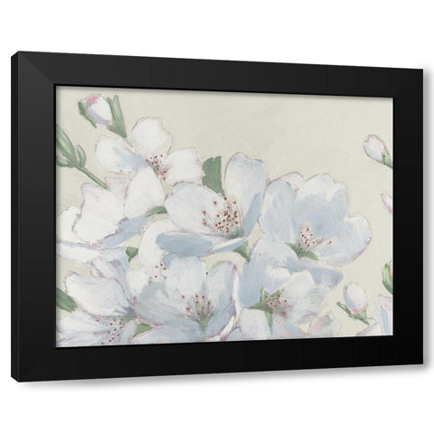 Spring Apple Blossoms Neutral Black Modern Wood Framed Art Print with Double Matting by Wiens, James