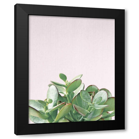 Succulent Simplicity Soft III Crop Black Modern Wood Framed Art Print by Bradley, Felicity