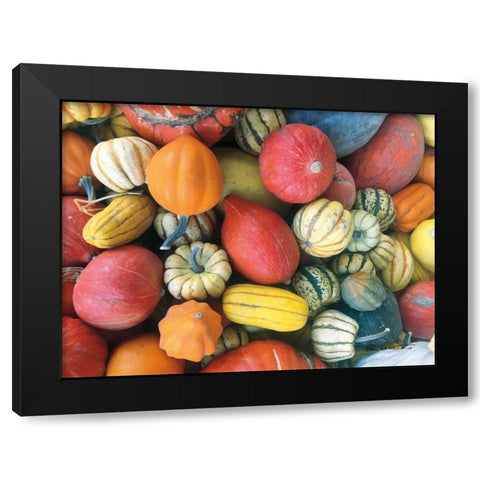 Autumn Bounty Black Modern Wood Framed Art Print by Goldstein, Ed