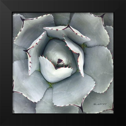 Cactus Verde I Black Modern Wood Framed Art Print by Goldstein, Ed