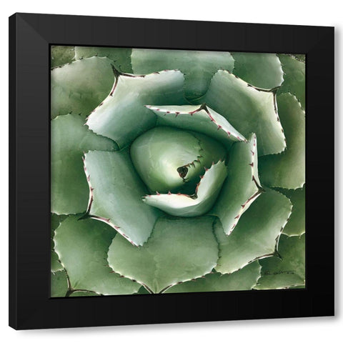 Cactus Verde II Green Black Modern Wood Framed Art Print by Goldstein, Ed