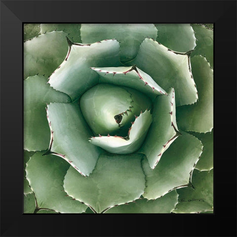 Cactus Verde II Green Black Modern Wood Framed Art Print by Goldstein, Ed
