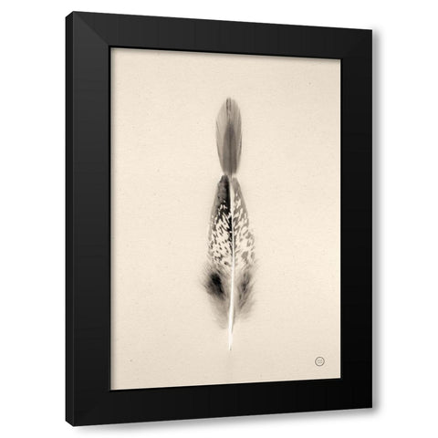 Floating Feathers I Sepia Black Modern Wood Framed Art Print by Larson, Nathan