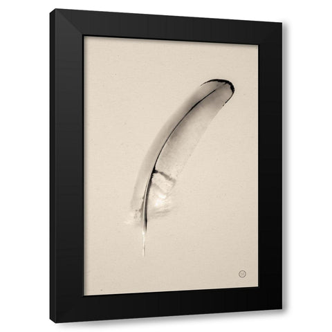 Floating Feathers III Sepia Black Modern Wood Framed Art Print by Larson, Nathan