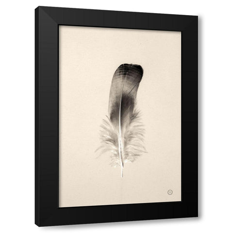Floating Feathers IV Sepia Black Modern Wood Framed Art Print by Larson, Nathan
