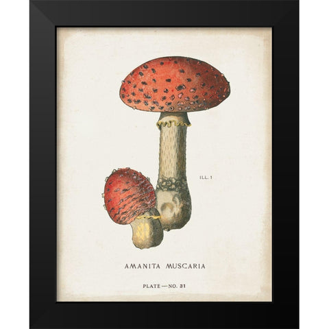 Mushroom Study I Black Modern Wood Framed Art Print by Wild Apple Portfolio