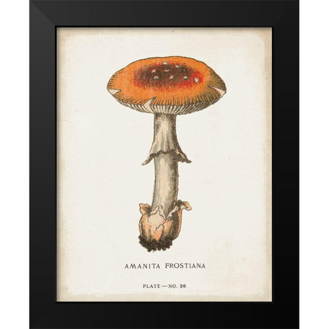 Mushroom Study III Black Modern Wood Framed Art Print by Wild Apple Portfolio
