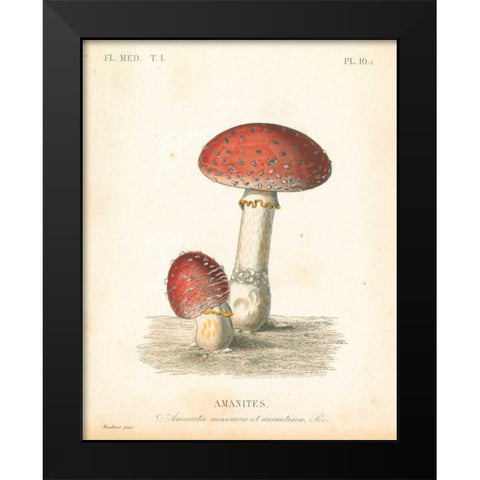 French Mushrooms III Black Modern Wood Framed Art Print by Wild Apple Portfolio