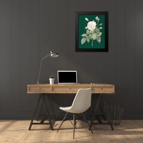 White Roses on Green I Black Modern Wood Framed Art Print by Wild Apple Portfolio