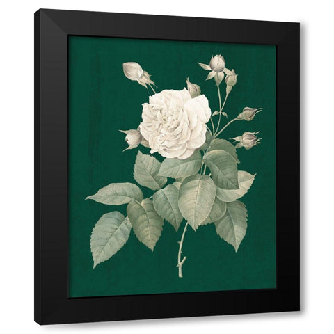 White Roses on Green I Black Modern Wood Framed Art Print by Wild Apple Portfolio