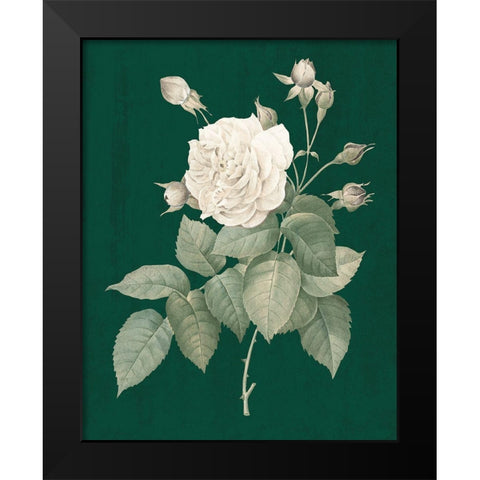 White Roses on Green I Black Modern Wood Framed Art Print by Wild Apple Portfolio