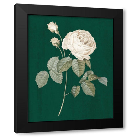 White Roses on Green II Black Modern Wood Framed Art Print by Wild Apple Portfolio