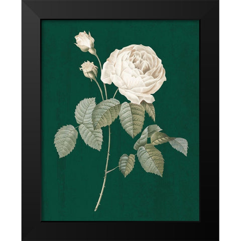 White Roses on Green II Black Modern Wood Framed Art Print by Wild Apple Portfolio