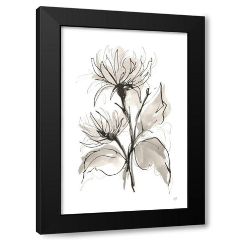 Chrysanthemum II Black Modern Wood Framed Art Print with Double Matting by Paschke, Chris