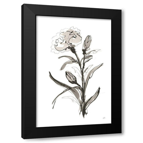 Carnation I Black Modern Wood Framed Art Print by Paschke, Chris