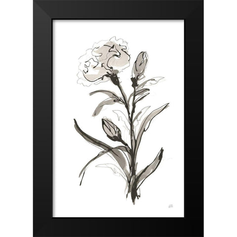 Carnation I Black Modern Wood Framed Art Print by Paschke, Chris