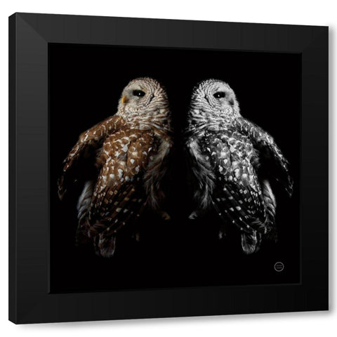 Still a Life Black Modern Wood Framed Art Print with Double Matting by Larson, Nathan