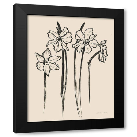 Ink Sketch Daffodils Black Modern Wood Framed Art Print with Double Matting by Miller, Sara Zieve