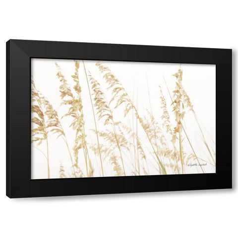 Blowing in the Wind II Black Modern Wood Framed Art Print with Double Matting by Urquhart, Elizabeth