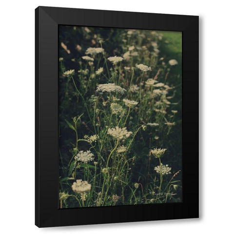 Running Wild I Black Modern Wood Framed Art Print by Urquhart, Elizabeth