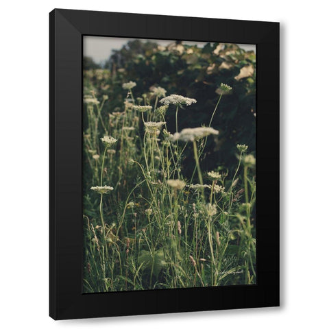 Running Wild II Black Modern Wood Framed Art Print by Urquhart, Elizabeth