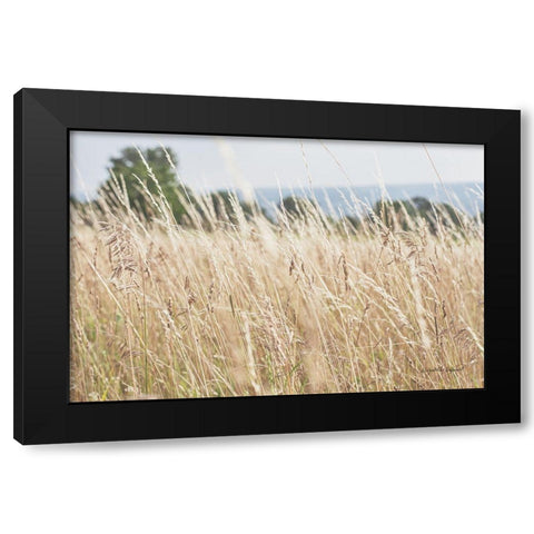 Summer Field I Black Modern Wood Framed Art Print by Urquhart, Elizabeth