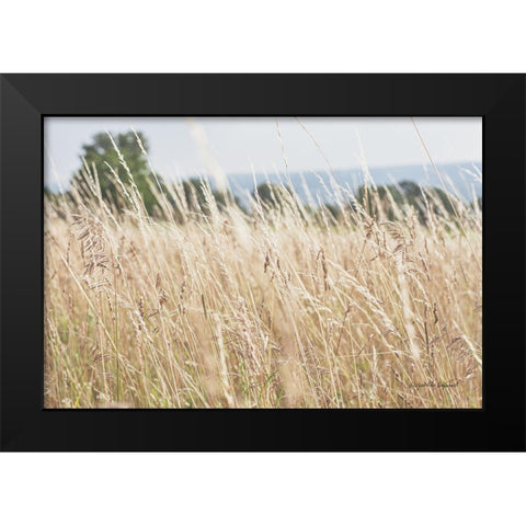 Summer Field I Black Modern Wood Framed Art Print by Urquhart, Elizabeth