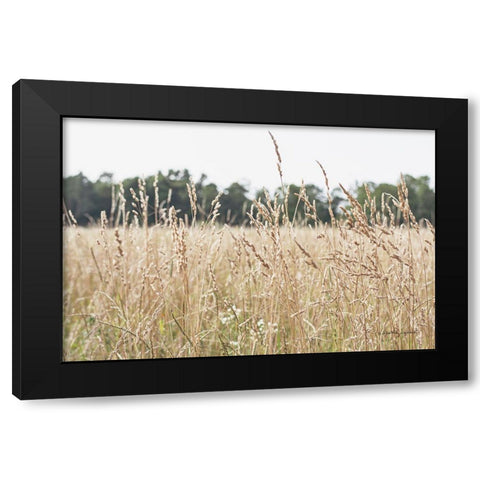 Summer Field II Black Modern Wood Framed Art Print with Double Matting by Urquhart, Elizabeth