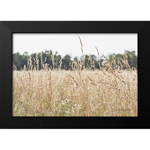 Summer Field II Black Modern Wood Framed Art Print by Urquhart, Elizabeth