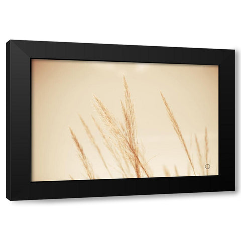 Summer Fields Black Modern Wood Framed Art Print by Larson, Nathan
