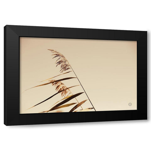 Windswept Grasses Black Modern Wood Framed Art Print by Larson, Nathan