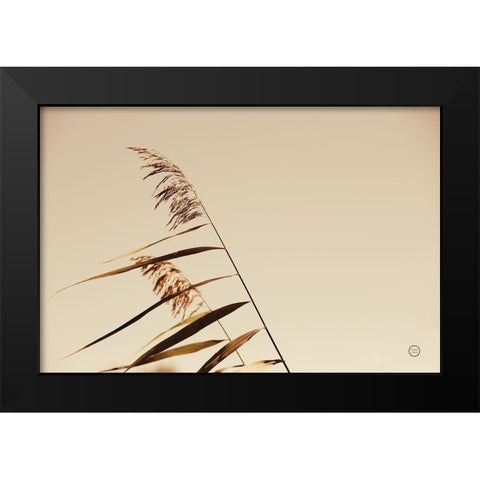 Windswept Grasses Black Modern Wood Framed Art Print by Larson, Nathan