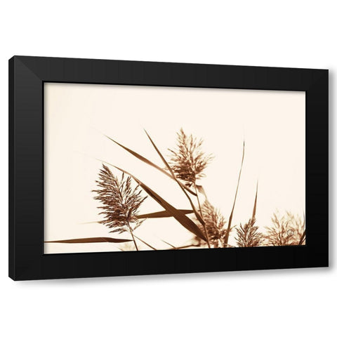 Country Grasses I Black Modern Wood Framed Art Print by Larson, Nathan