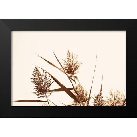 Country Grasses I Black Modern Wood Framed Art Print by Larson, Nathan