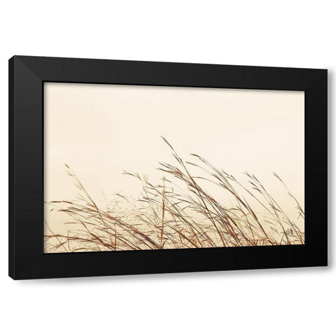Country Grasses II Black Modern Wood Framed Art Print by Larson, Nathan