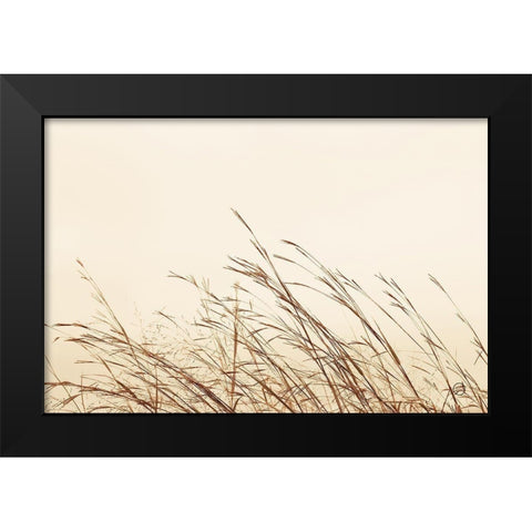 Country Grasses II Black Modern Wood Framed Art Print by Larson, Nathan